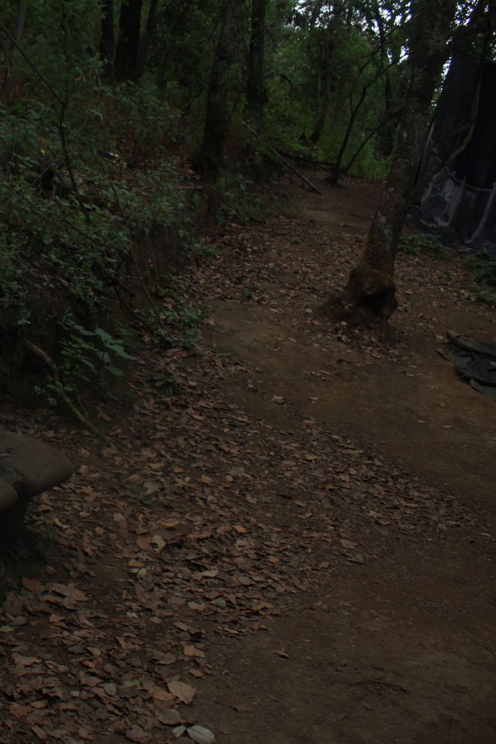 area-verde-en-parque-ecoturistico-tlalmanalco